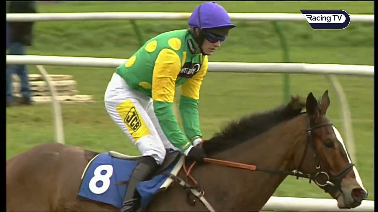 KAUTO STAR'S British debut as a four-year-old in 2004