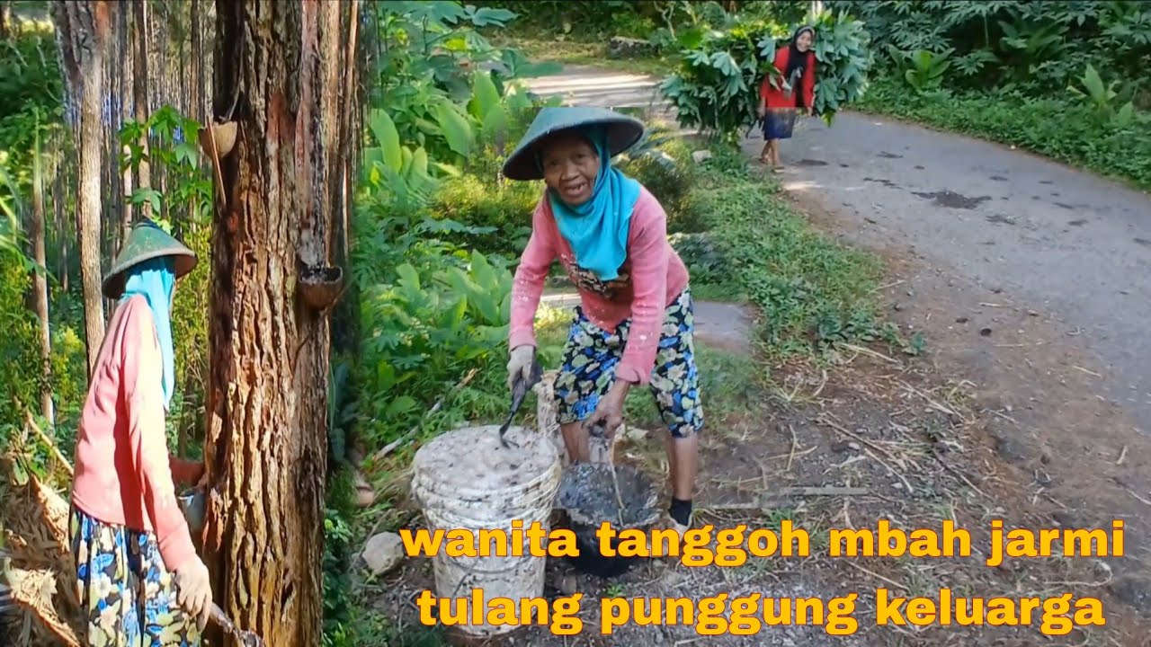 Mbah jarmi wanita tangguh tulang punggung  keluarga