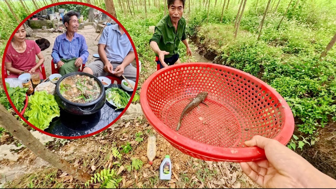 Quá Ngon ! Cá Trắm Hoang Dã Bắt Về Om Dưa Thì Hết Nước Chấm | HUY ANH TV