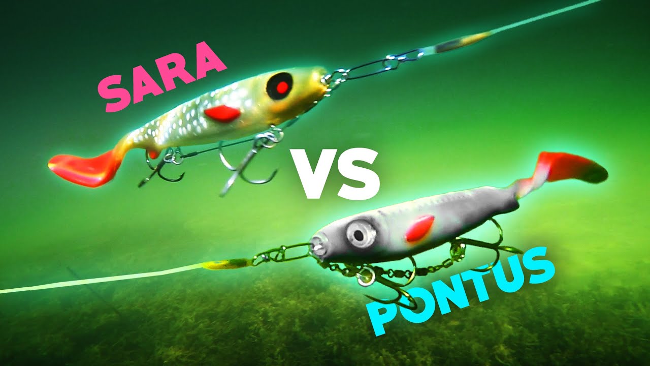 Лучший цвет приманки для ультра прозрачной воды 😱 (1vs1 Photofish Челлендж)