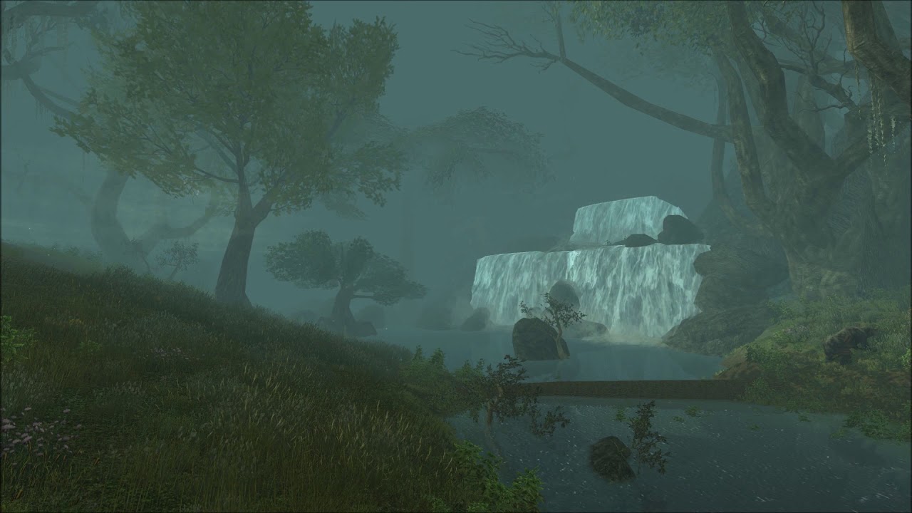 LOTRO Ambience - The Old Forest