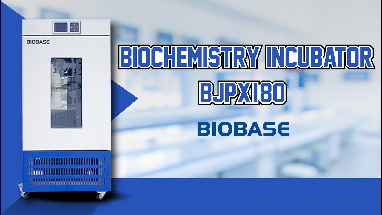 ตู้บ่มเชื้อ (Biochemistry Incubator)  ขนาด 80 ลิตรยี่ห้อ Biobase รุ่น BJPX-I-80