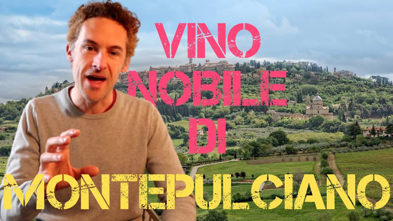 VINO NOBILE DI MONTEPULCIANO: caratteristiche, note di degustazione e prezzo