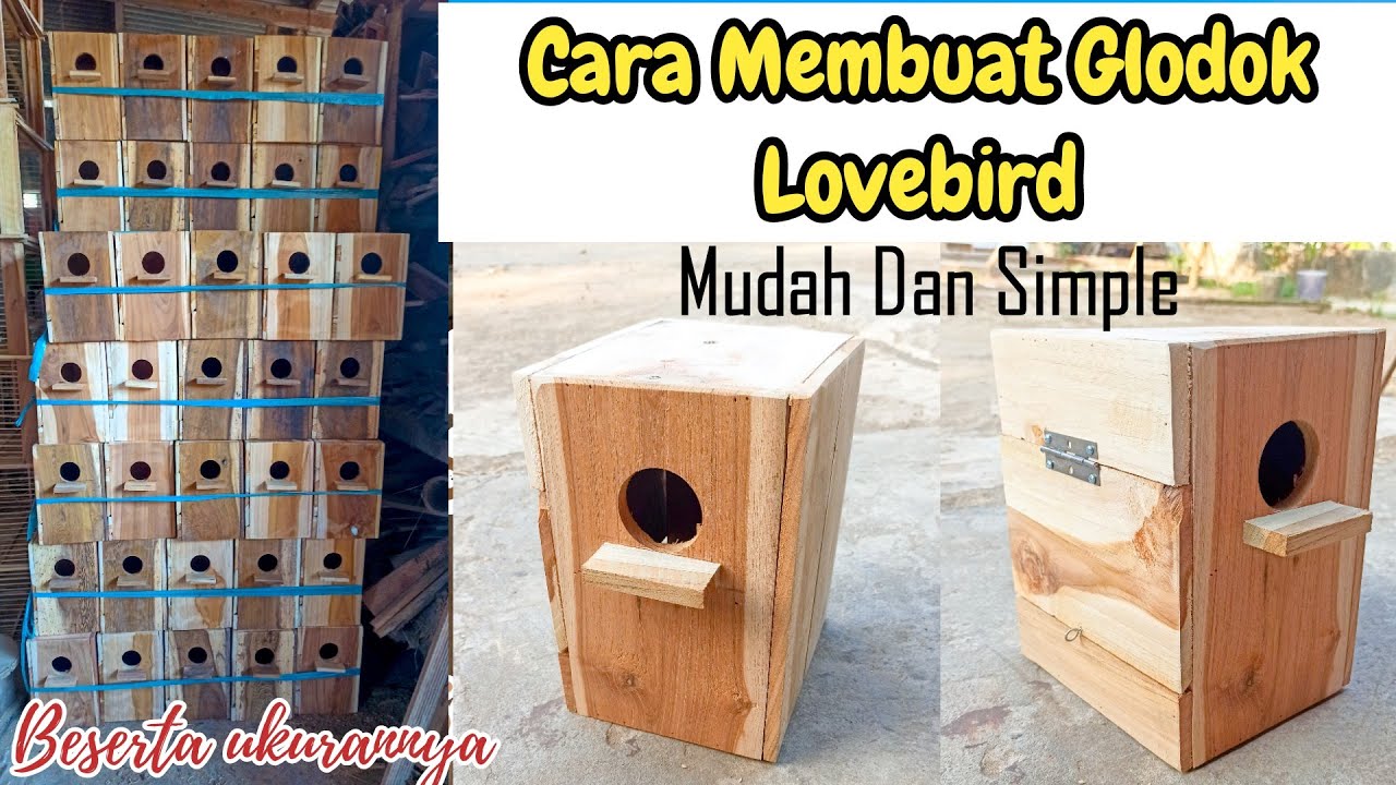 CARA MEMBUAT GLODOK LOVEBIRD/GOWOK LOVEBIRD/KOTAK TERNAK LOVEBIRD #glodok #gowok #lovebird