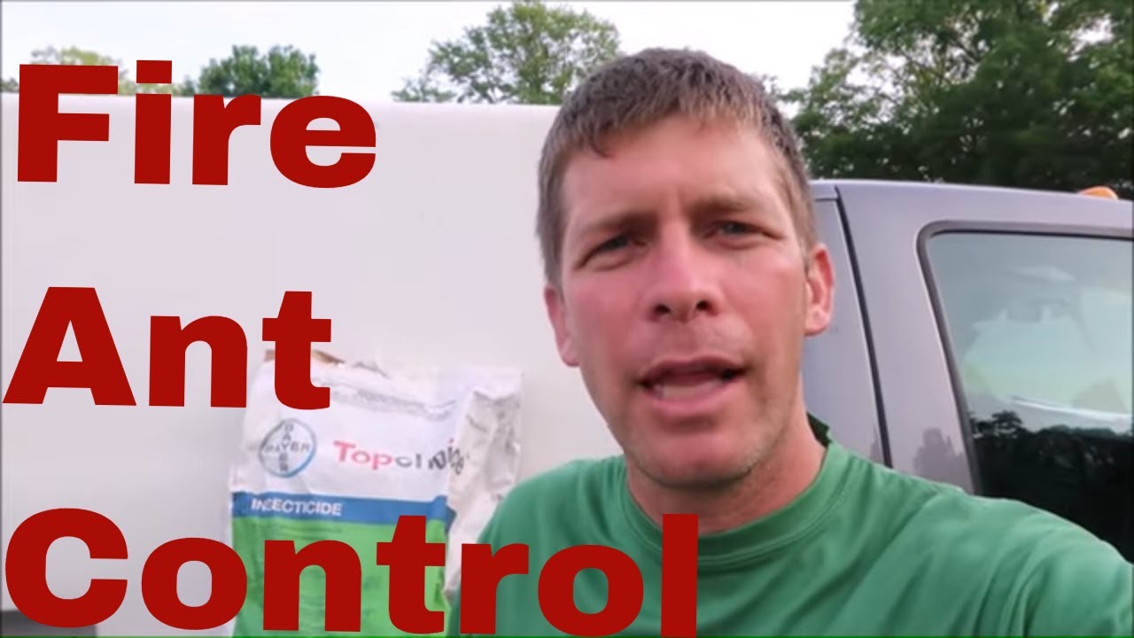 Fire Ant Control for Up To 12 Months with Topchoice
