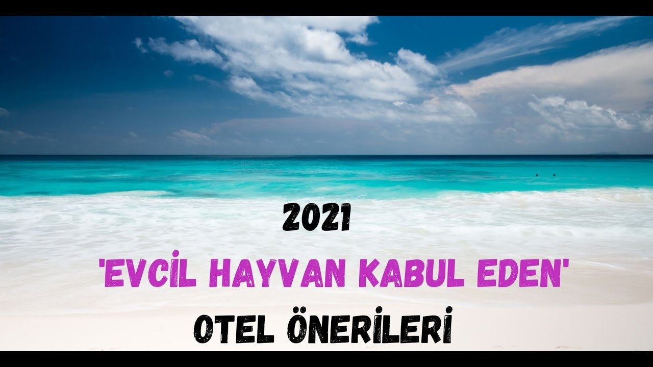 2021 Evcil Hayvan ile Tatil - Evcil Hayvan Dostu Otel &Ouml;nerileri