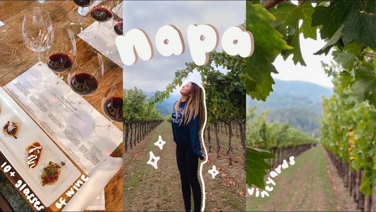 *surprise* napa trip 🍇 weekend of wine tasting, vineyard tours, good food