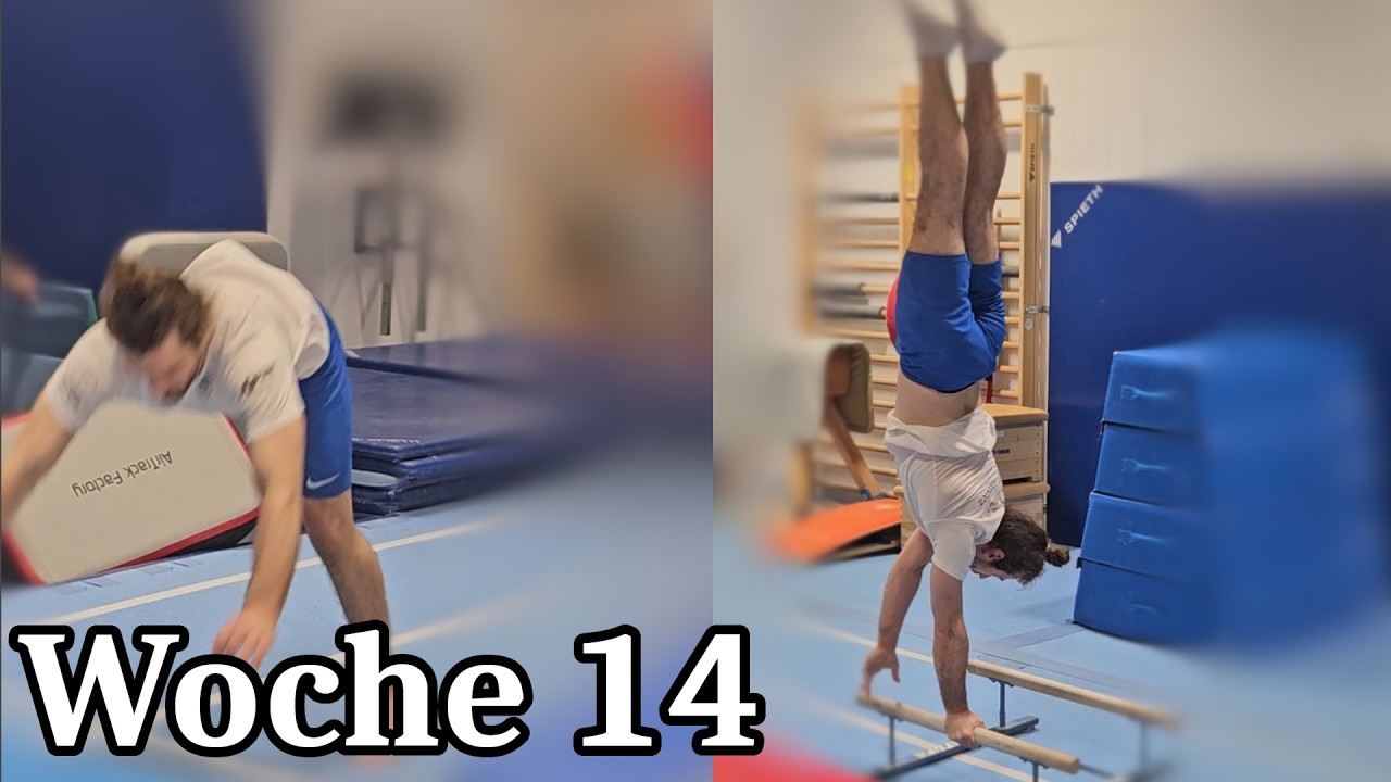Fortschritte | Woche 14