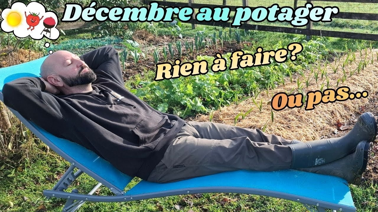 Décembre au potager 