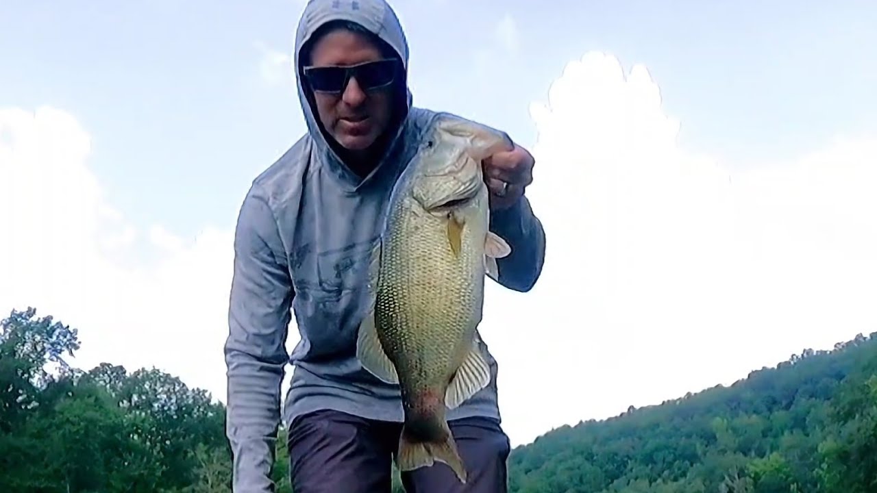 Catching bass at Logan Martin lake on a megabass suwitch late July 2025