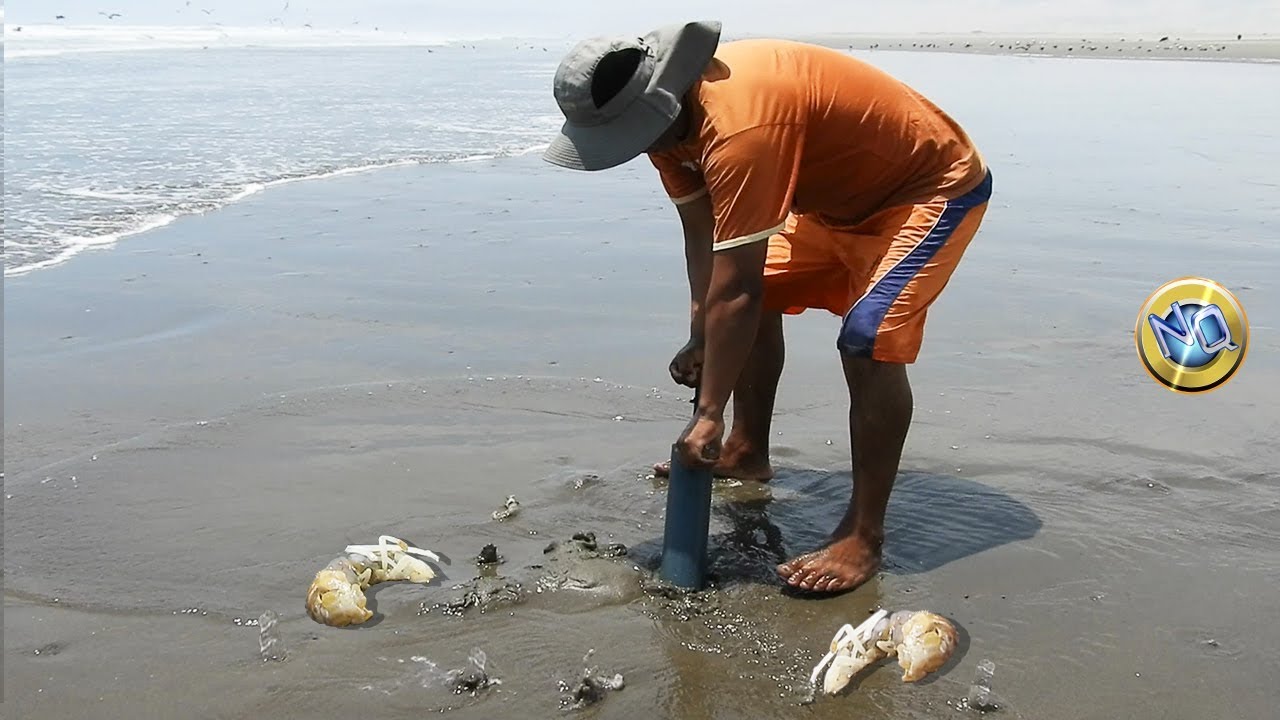 Napes El cebo irresistible para los peces Mira Como conseguirlos