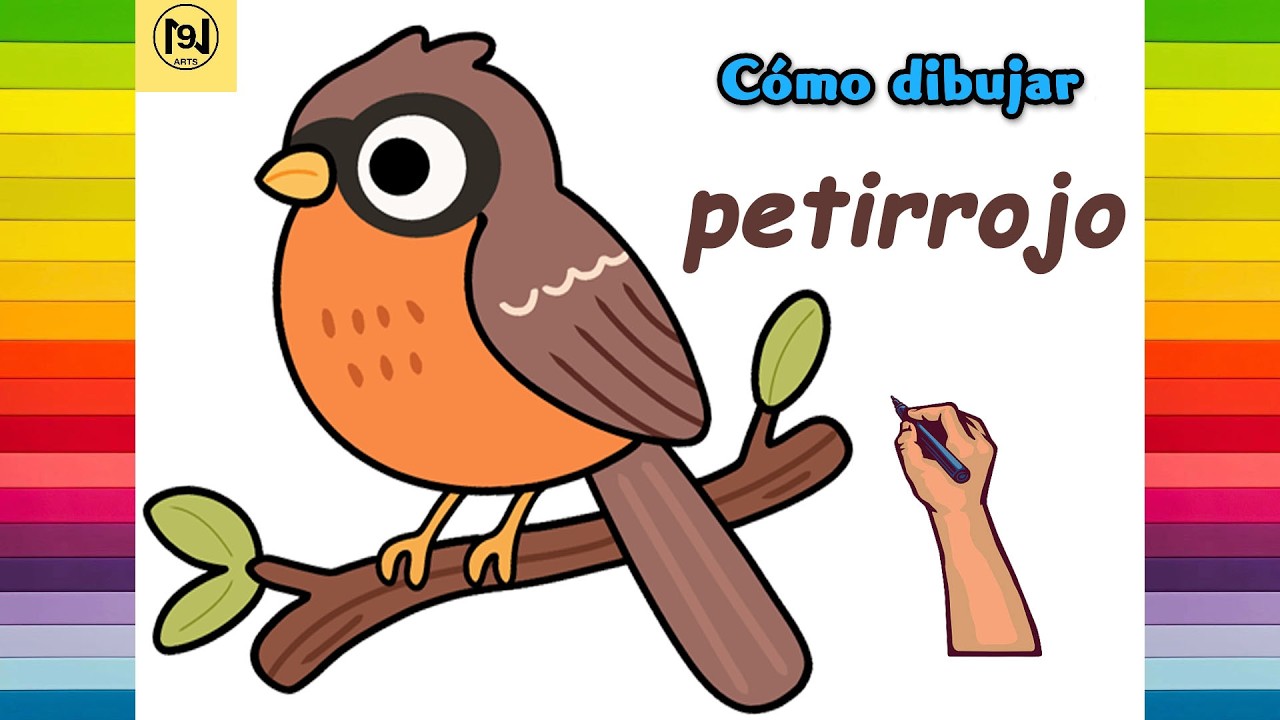 Cómo dibujar un petirrojo
