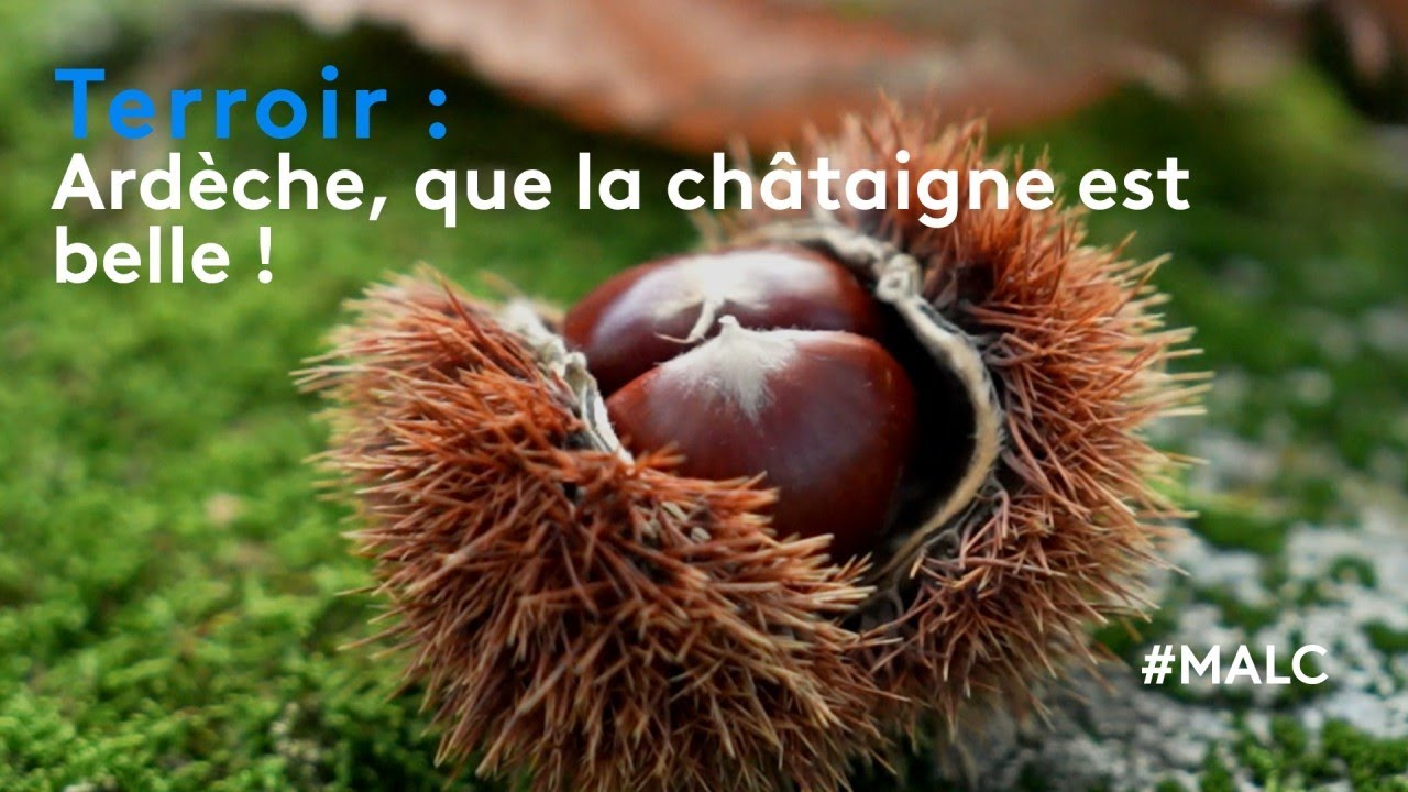 Terroir : Ardèche, que la châtaigne est belle !