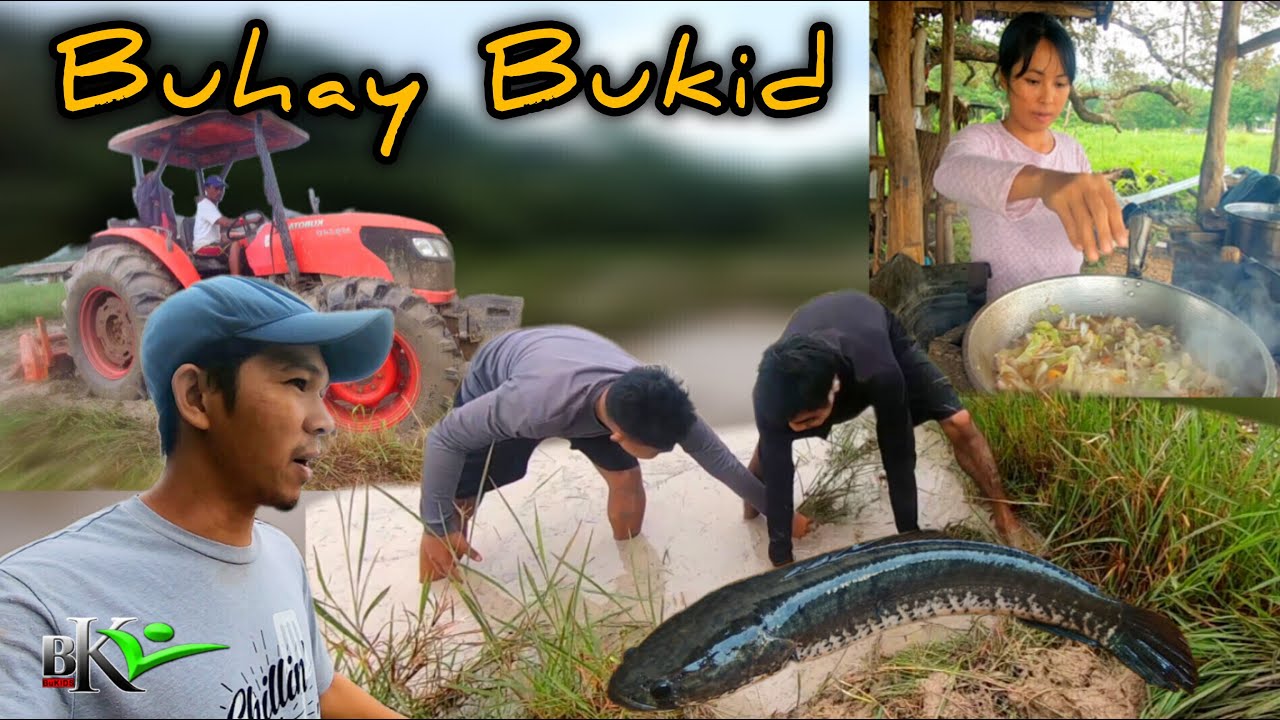 Ep.455- PAGPAPATRAKTORA NG BUKID | NAKAHULI NG DALAG | BUHAY PROBINSYA | bukids