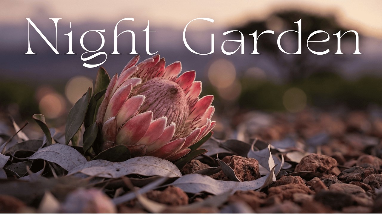 Night Garden 🌿🌙 &mdash; Calm Night Music
