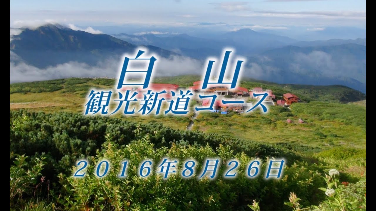 140 北陸 白山観光新道8月 2016年8月26日 - 生物多様性体験保全センター 高山植物を主とした野生植物の映像集