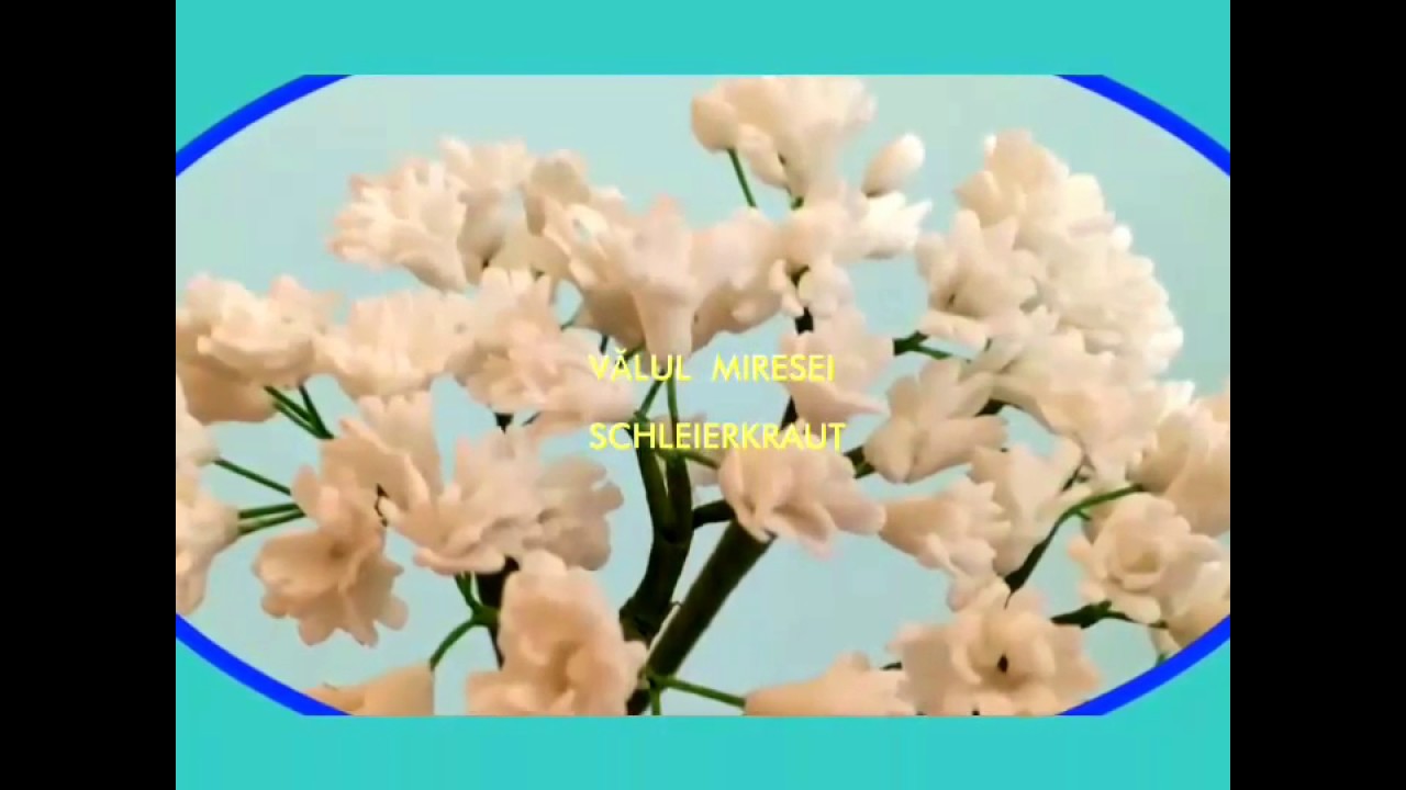 Gumpaste Gypsophila /V&auml;lul miresei / Schleierkraut