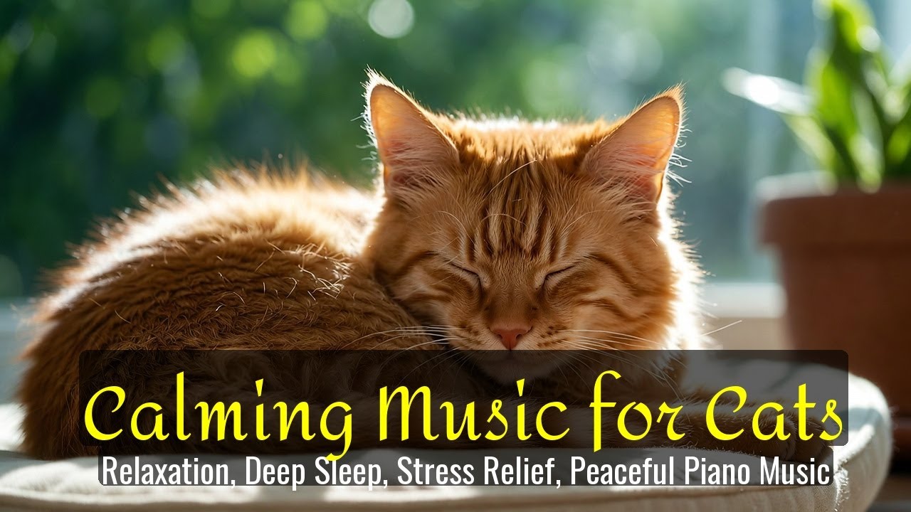 Calming Music for Cats - Relaxation, Deep Sleep, Stress Relief, Peaceful Piano Music | Season 35