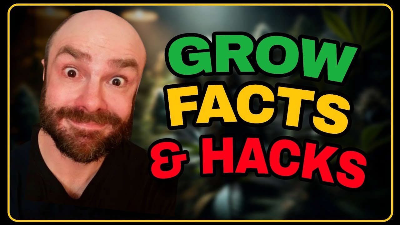 Your Biggest 2025 Cannabis Grow Questions... Solved LIVE