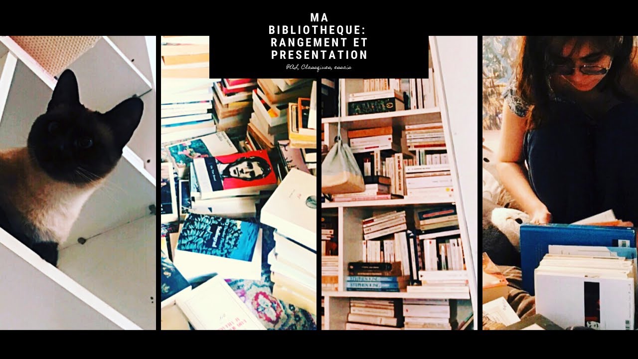 Rangement et tour de ma bibliothèque (Vlog #9)
