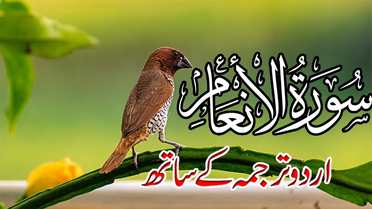 Surah Al Anam (سورۃ الأنعام) | Urdu Tarjuma Ke Sath | Tauheed Ki Daawat Aur Shirk Ki Tardeed