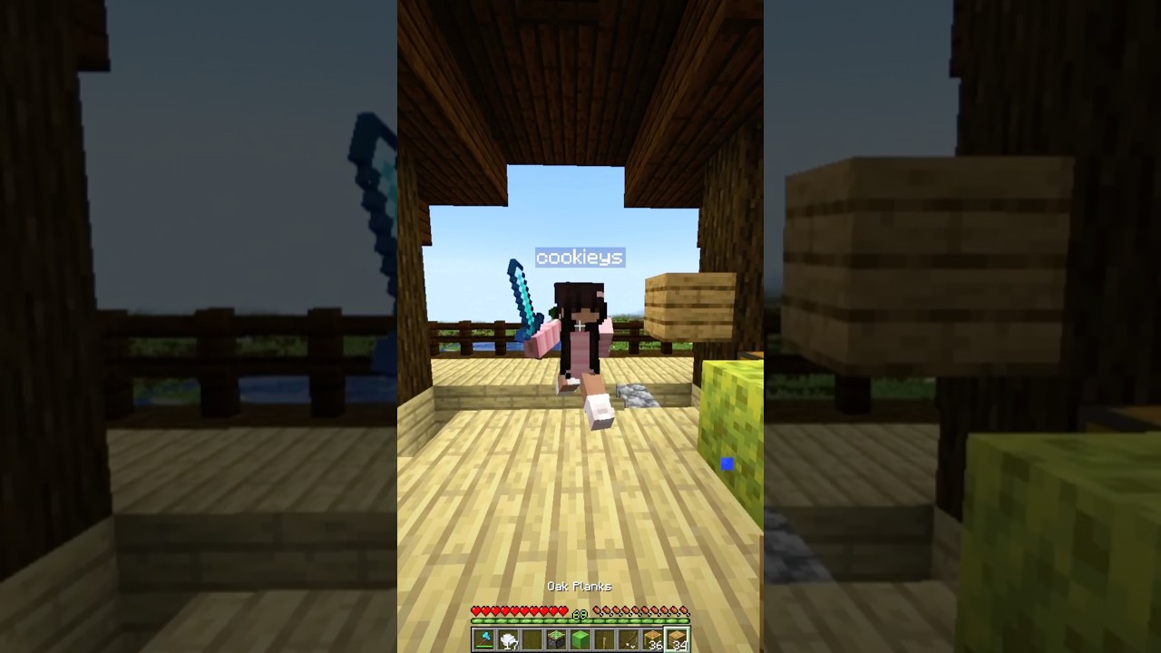 Minecraft moment