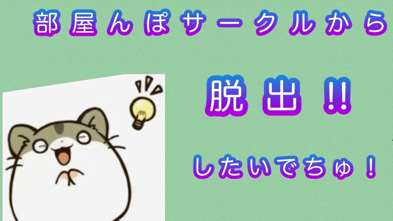 部屋んぽサークルから脱出‼️したいでちゅ🐹