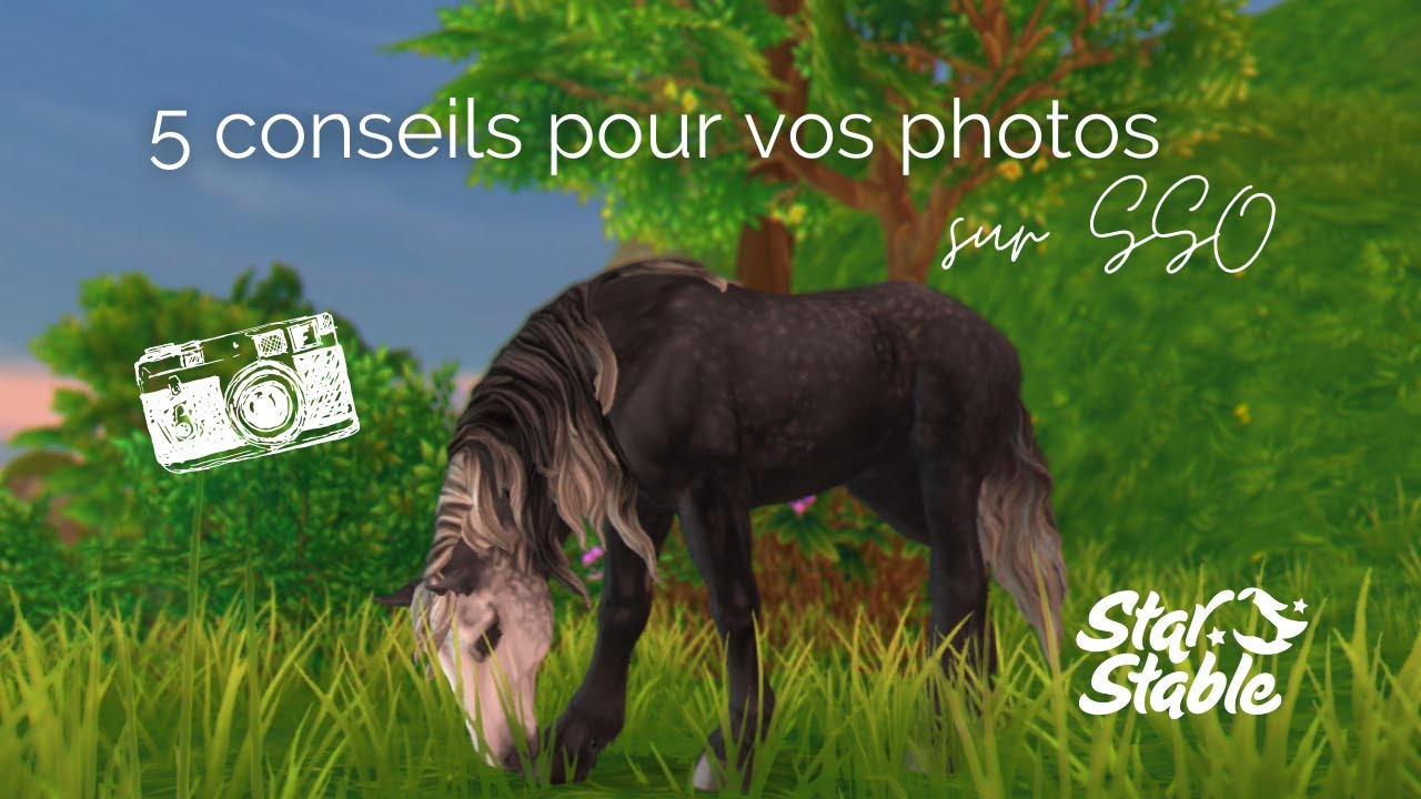 5 Conseils photos📸 | SSO