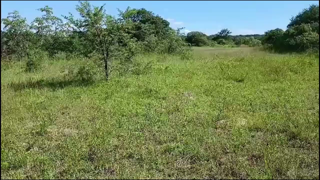 Homestead Next Plans....