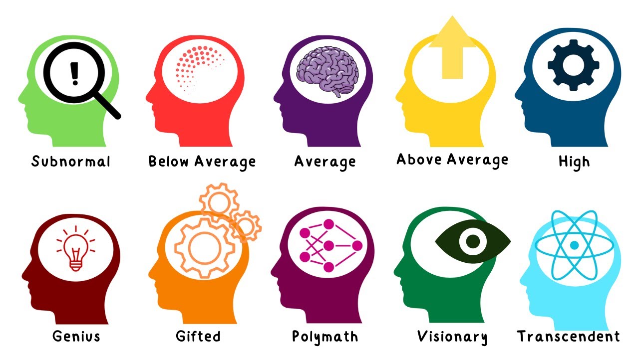 Every Level of Human Intelligence Explained