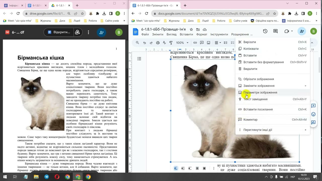 1.8.1. Практична робота 
