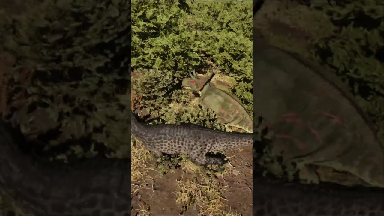 Prime Cera VS Diablo The isle evrima #theisle #theisleevrima #ceratosaurus #diabloceratops