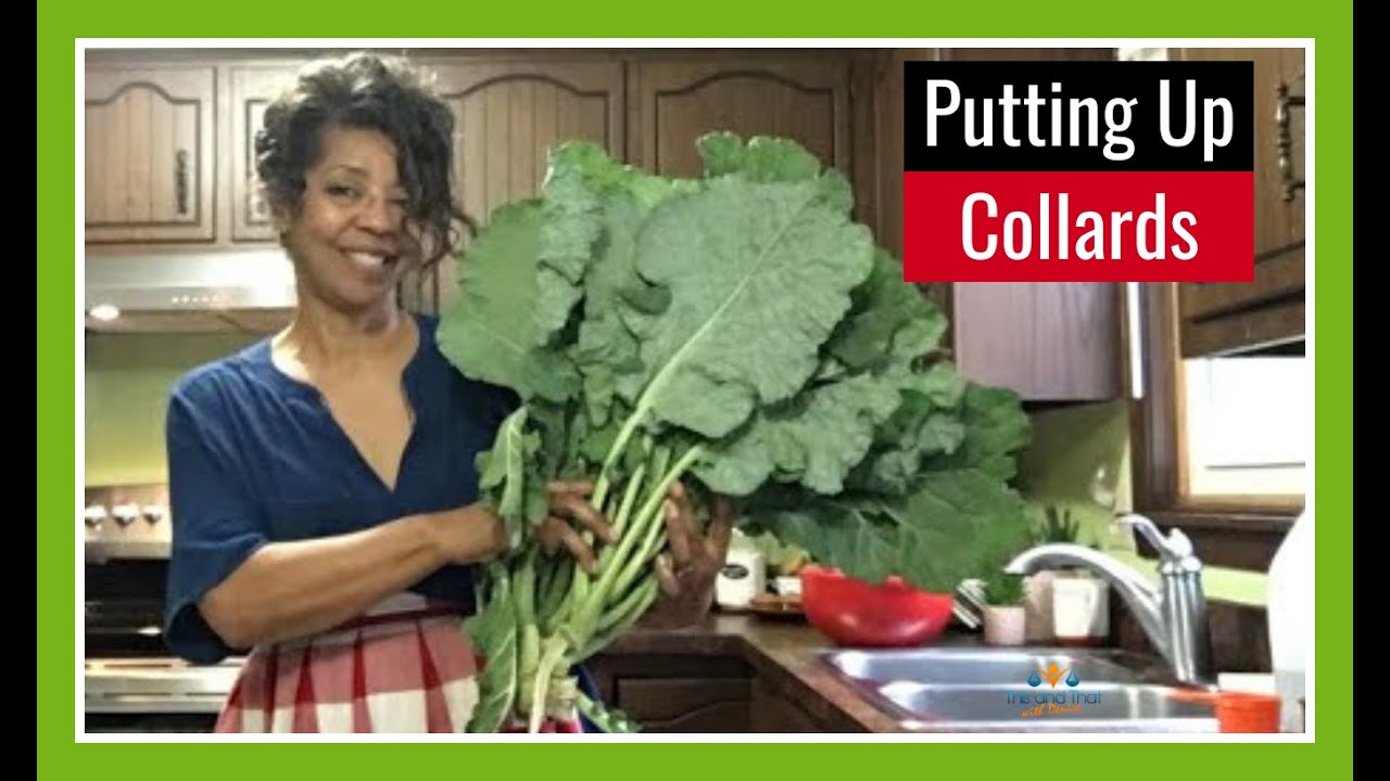 How to Freeze Collard Greens (3 Easy Steps to Freezing Collards)