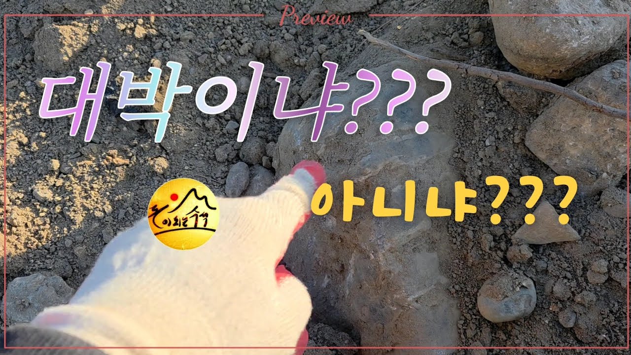 대박이냐?? 아니냐??