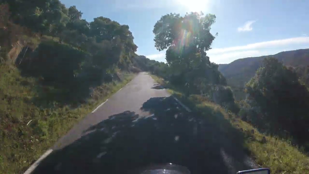 2026 - Medizin gegen den Winterblues (11) 2016 Massif des Maures / Col de Babau