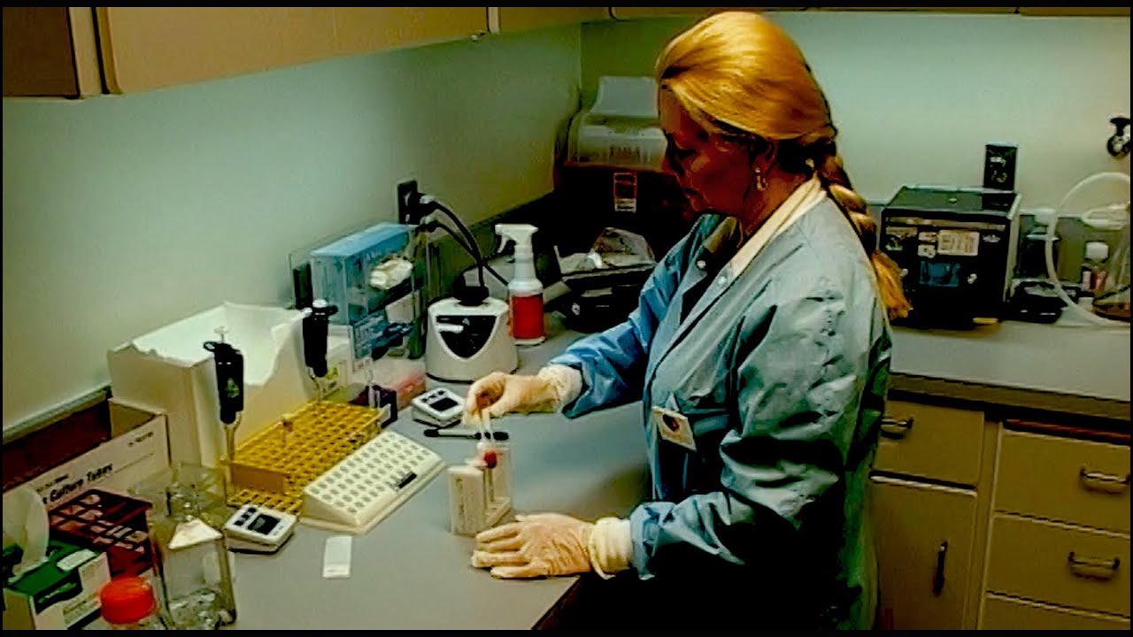 HLA Laboratory