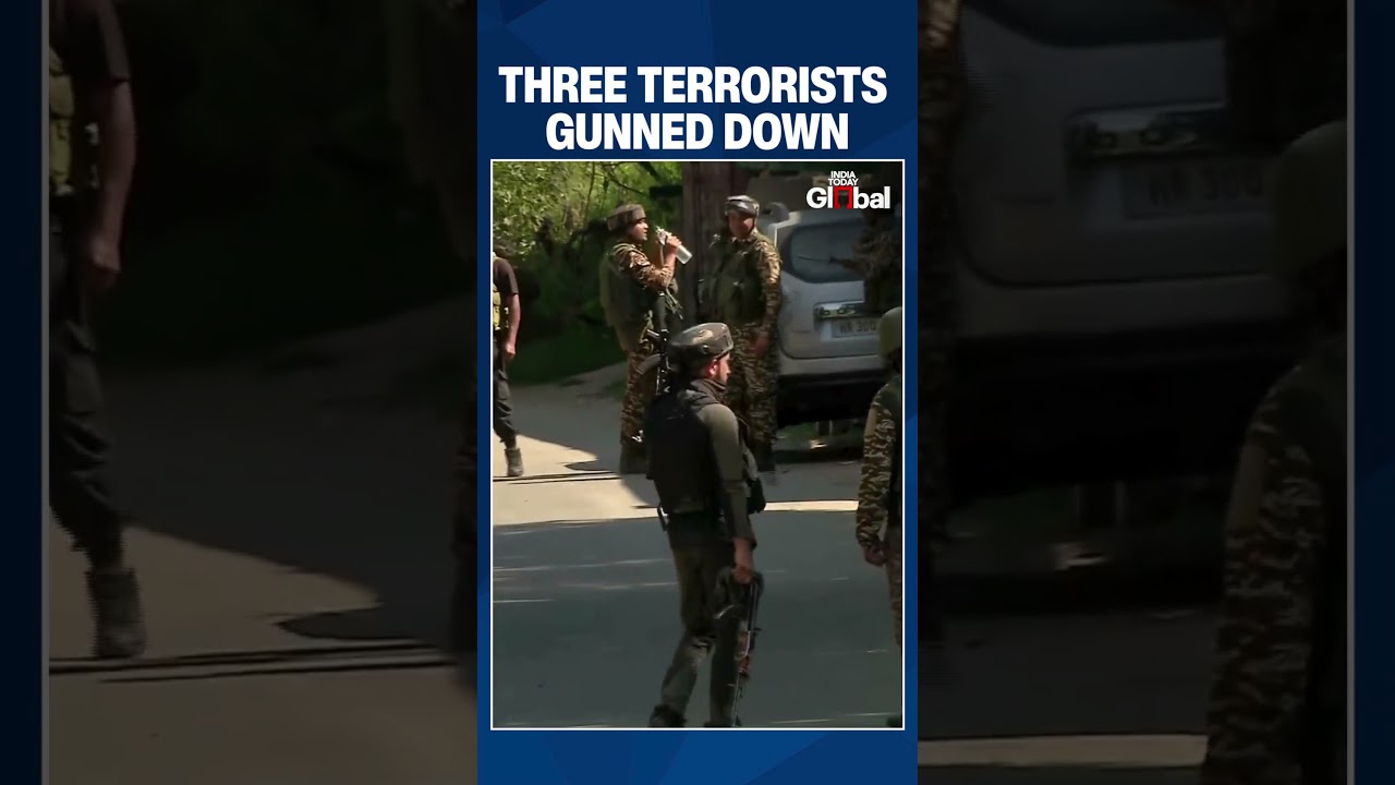 Pulwama Encounter: 3 Jaish Terrorists Killed by Security Forces | 