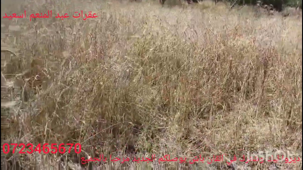 هميز دار وغريس فيه 2000 ميتر نواحي القصار أصغر 0723465670ديروا ليك وشترك في القان باش يوصلكم الجديد