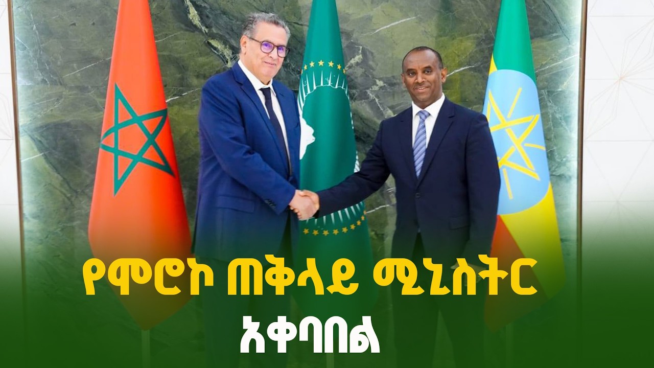 ​የሞሮኮ ጠቅላይ ሚኒስትር ለ39ኛው የአፍሪካ ኅብረት ጉባኤ አዲስ አበባ ገቡ | AU Summit | Ethiopia | Morocco | Welcome |