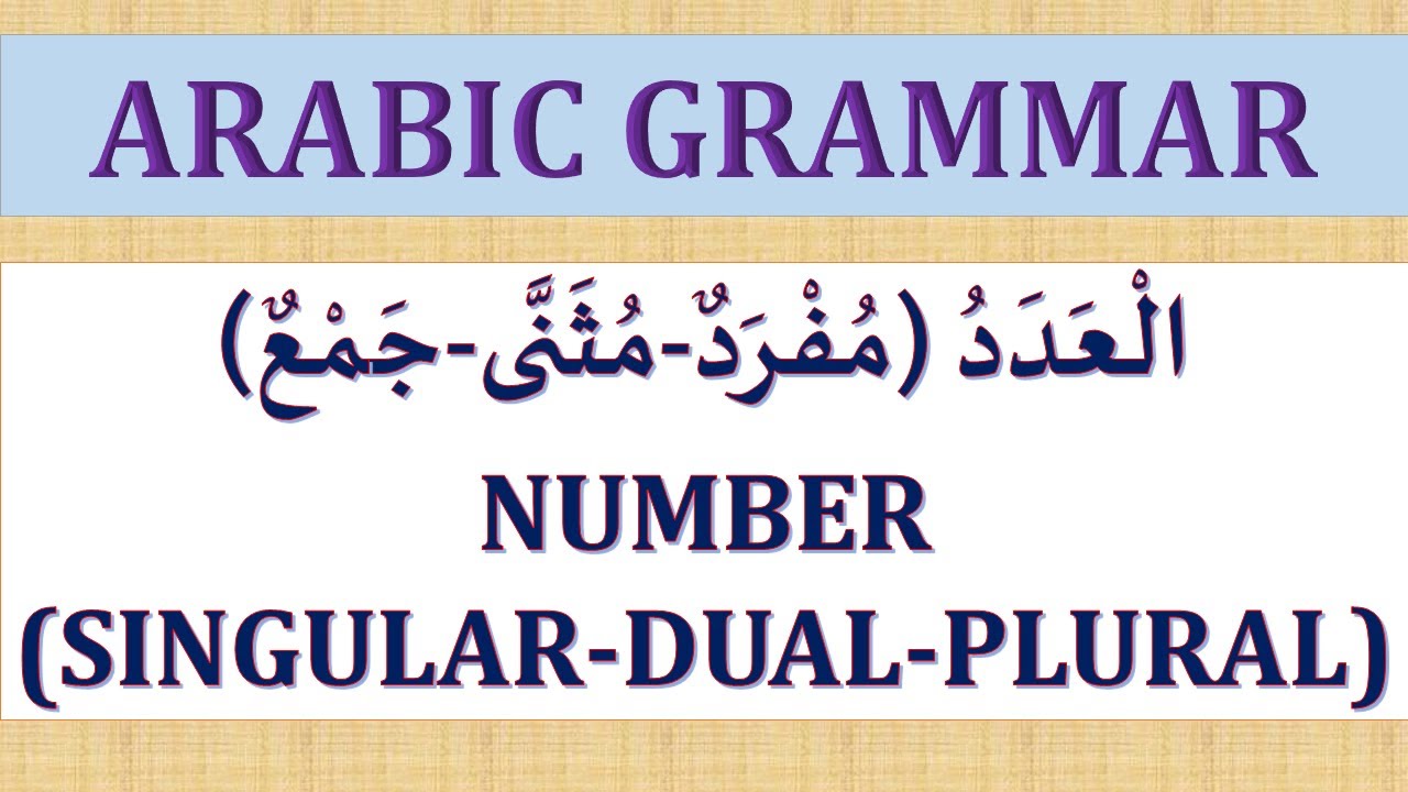 SINGULAR, DUAL AND PLURAL NOUNS IN ARABIC. ARABIC GRAMMAR (LESSON 6).