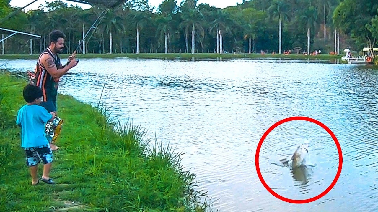 PESQUEI UMA MATRINXÃ - VOCÊ JÁ TINHA VISTO ESSE? - {Pescaria}