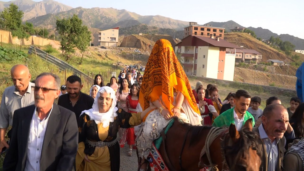 #ŞIRNAK #BEYTÜŞŞEBAP  JİYAN & MUSA DÜĞÜNÜNDE ( AT SIRTINDA GELİN ALMA ) 4K ULTRA HD FULL FRAME