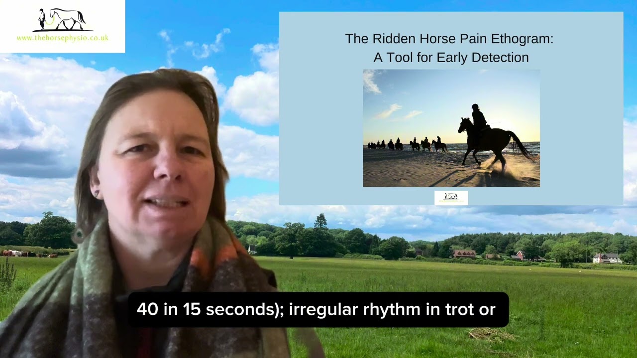 The 24 behaviours of the Ridden Horse Pain Ethogram