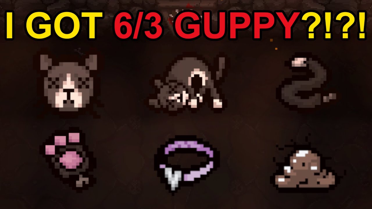 EARLIEST GUPPY I'VE EVER HAD?!?!