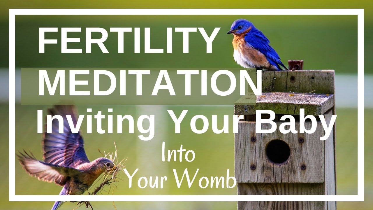 Fertility Meditation: Inviting your baby into your womb (Guided Imagery for getting pregnant)