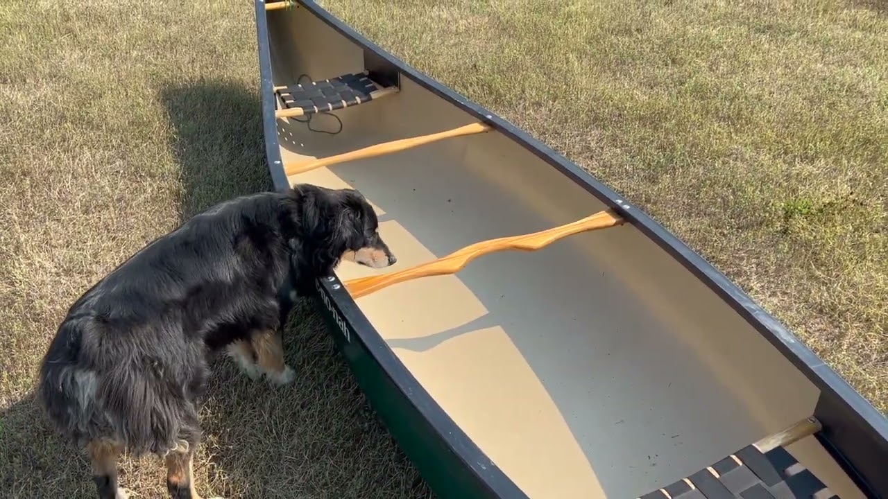 Free Range Man Day 5: Canoeing with the Puppy