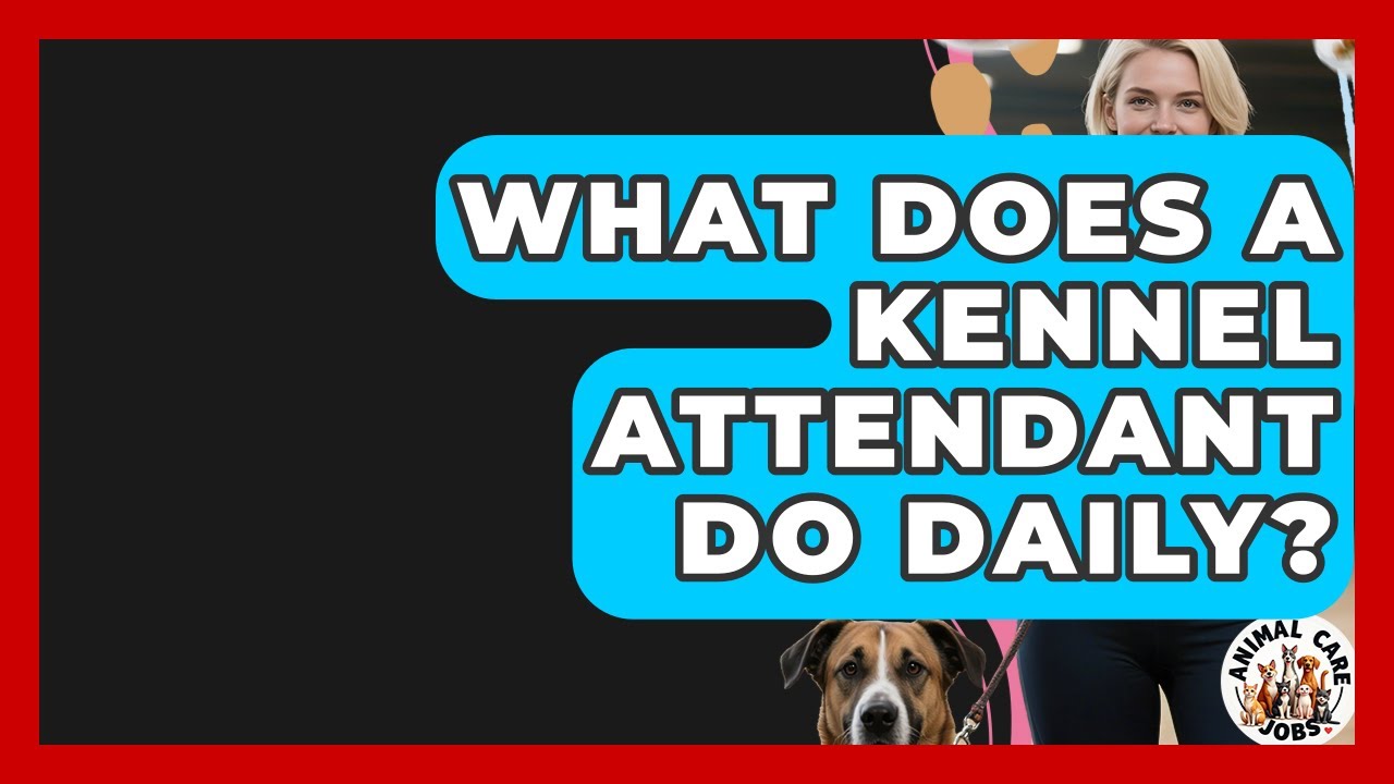 What Does A Kennel Attendant Do Daily? - Animal Care Jobs