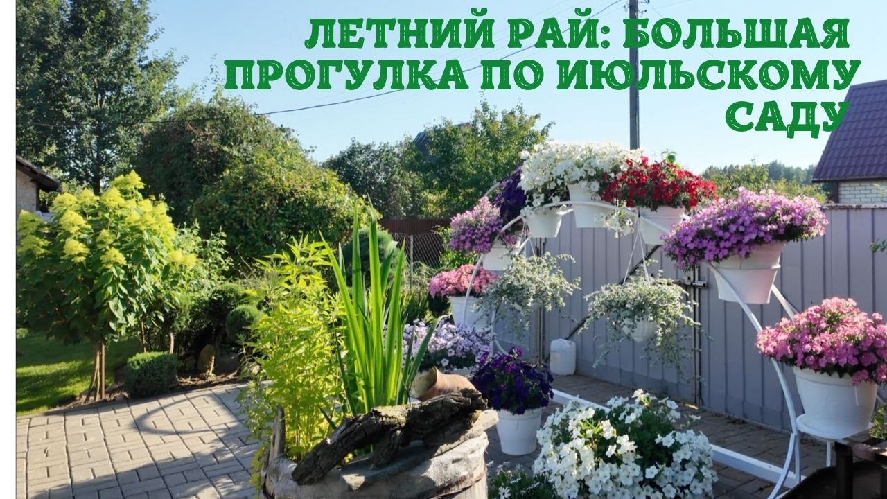 Летний рай: Большая прогулка по июльскому саду