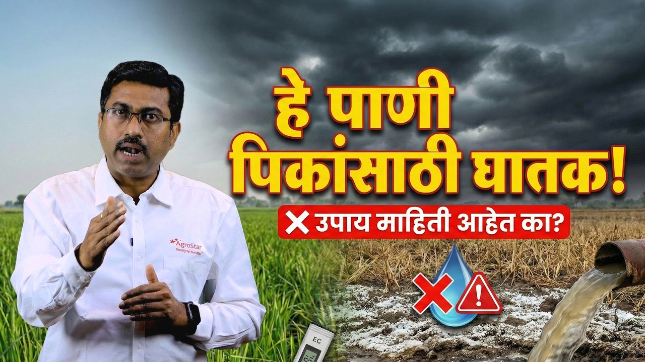 शेतीतील पाण्याचे आरोग्य ओळखा आणि उत्पादन दुप्पट करा | Water Quality Management in Farming | Agrostar