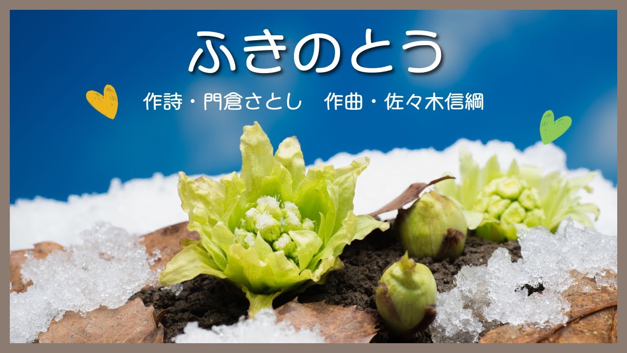 ふきのとう (Giant Butterbur) - 作詞：門倉さとし / 作曲：佐々木信綱（2008年作品）